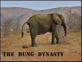 The Dung Dynasty